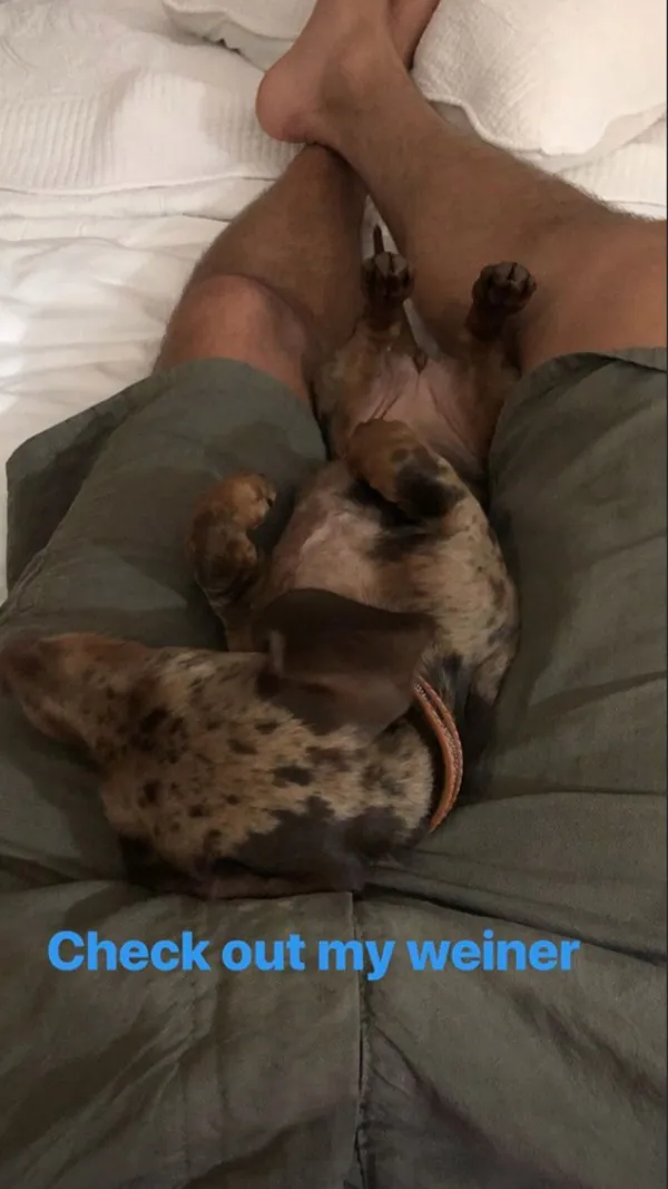 sofia-richie-scott-disick-dog