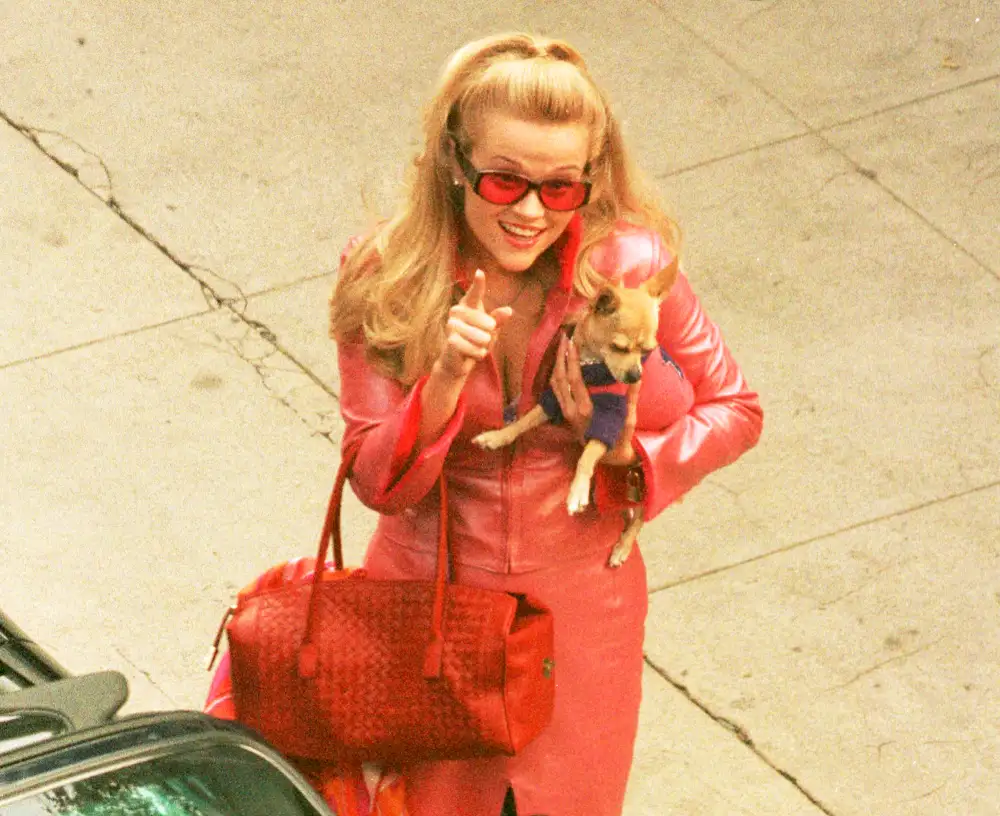 Reese Witherspoon in &lsquo;Legally Blonde'