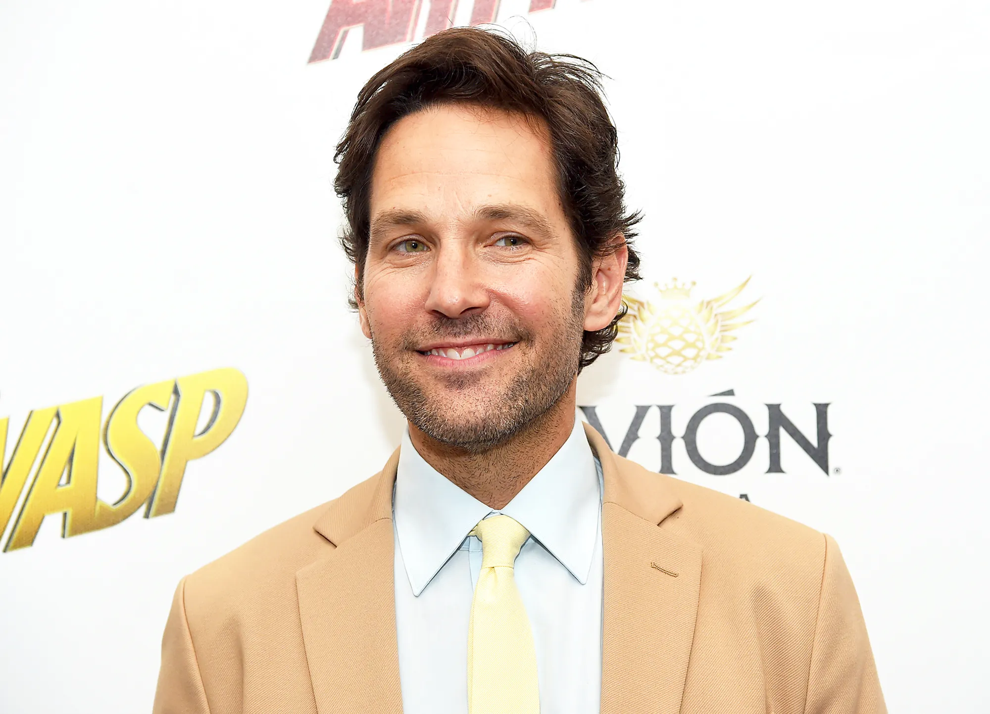 Paul Rudd attends the "Ant-Man And The Wasp" New York Screening at Museum of Modern Art on June 27, 2018 in New York City.