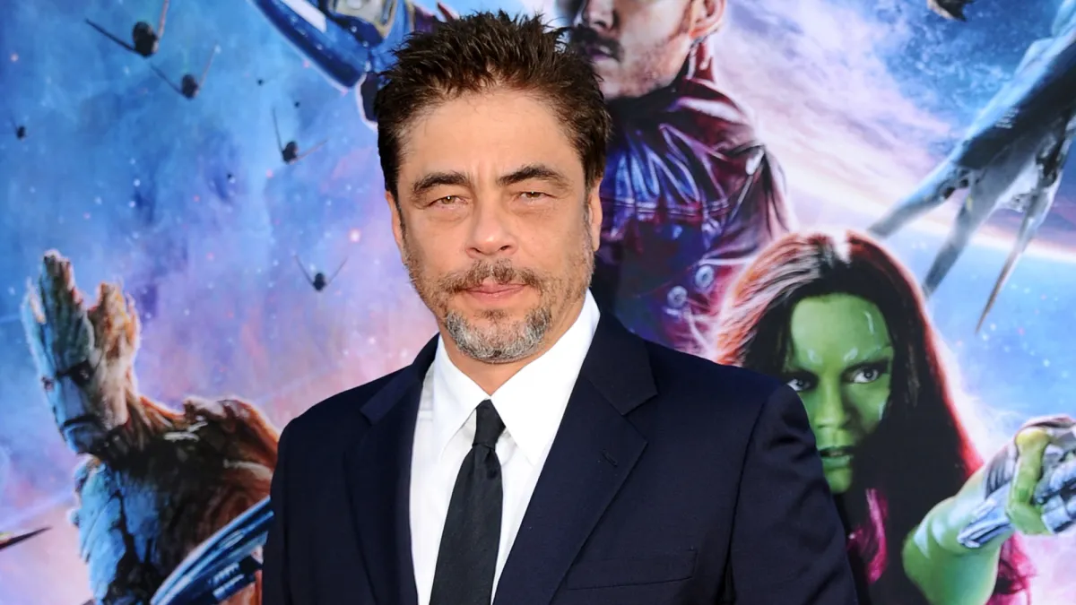 Benicio Del Toro