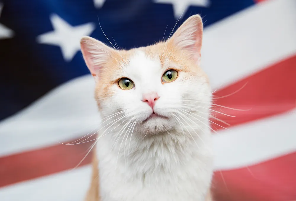 Best-Friends-Animal-Society-campaign