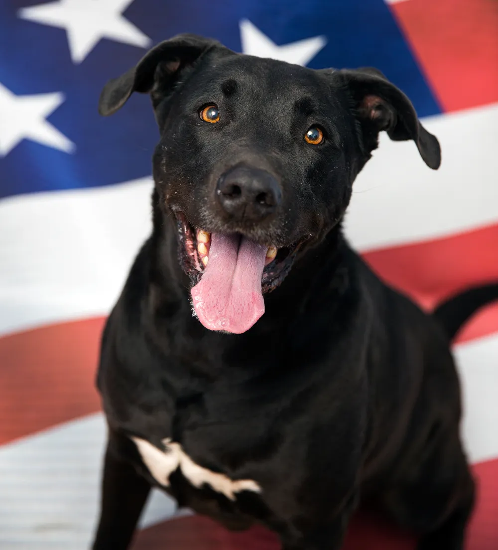 Best-Friends-Animal-Society-campaign