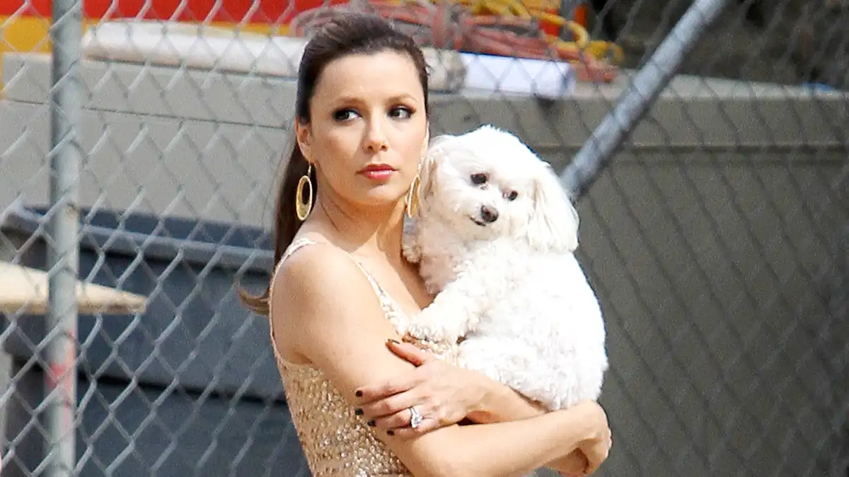 Eva-Longoria-dog-jinxy
