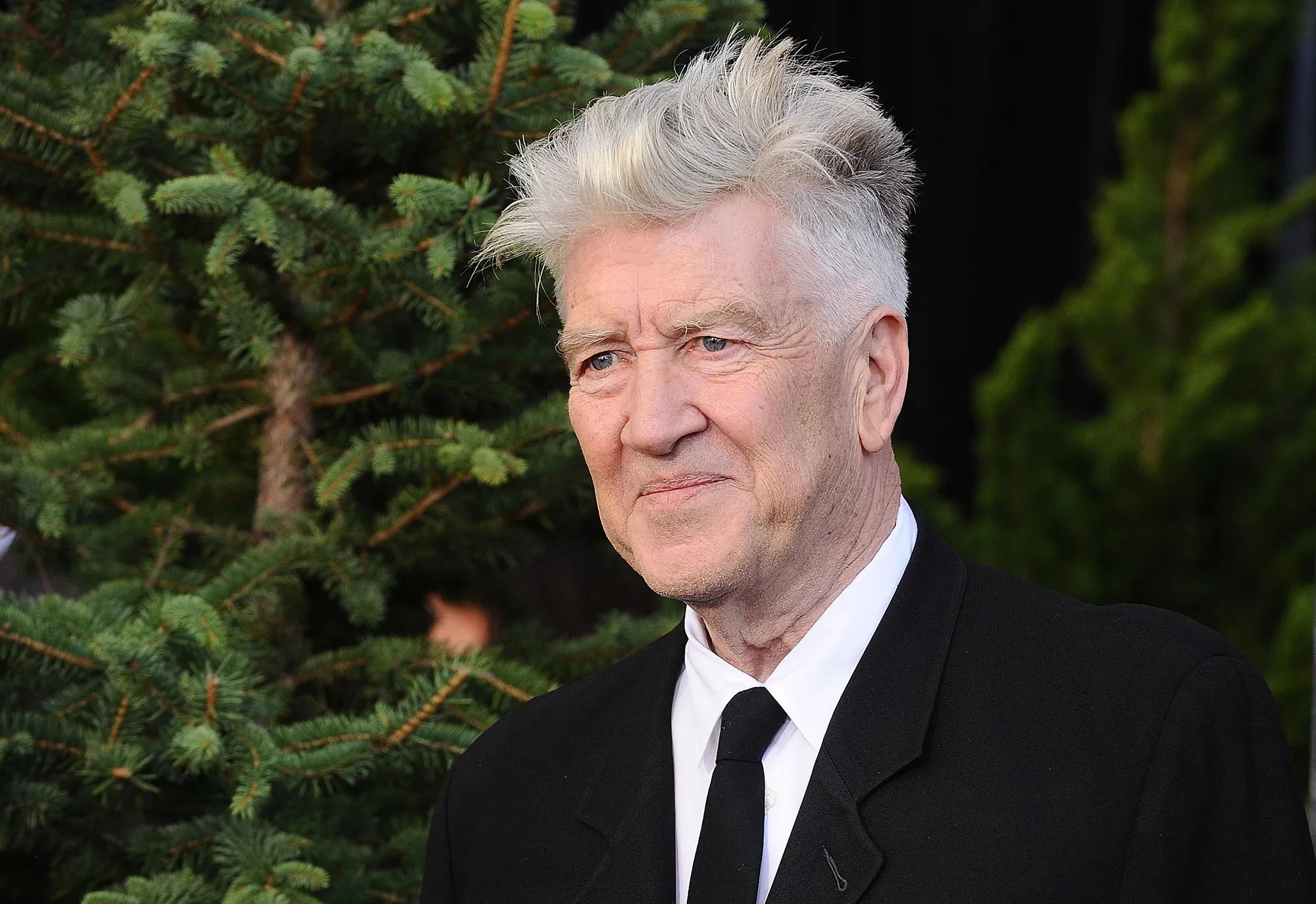David Lynch