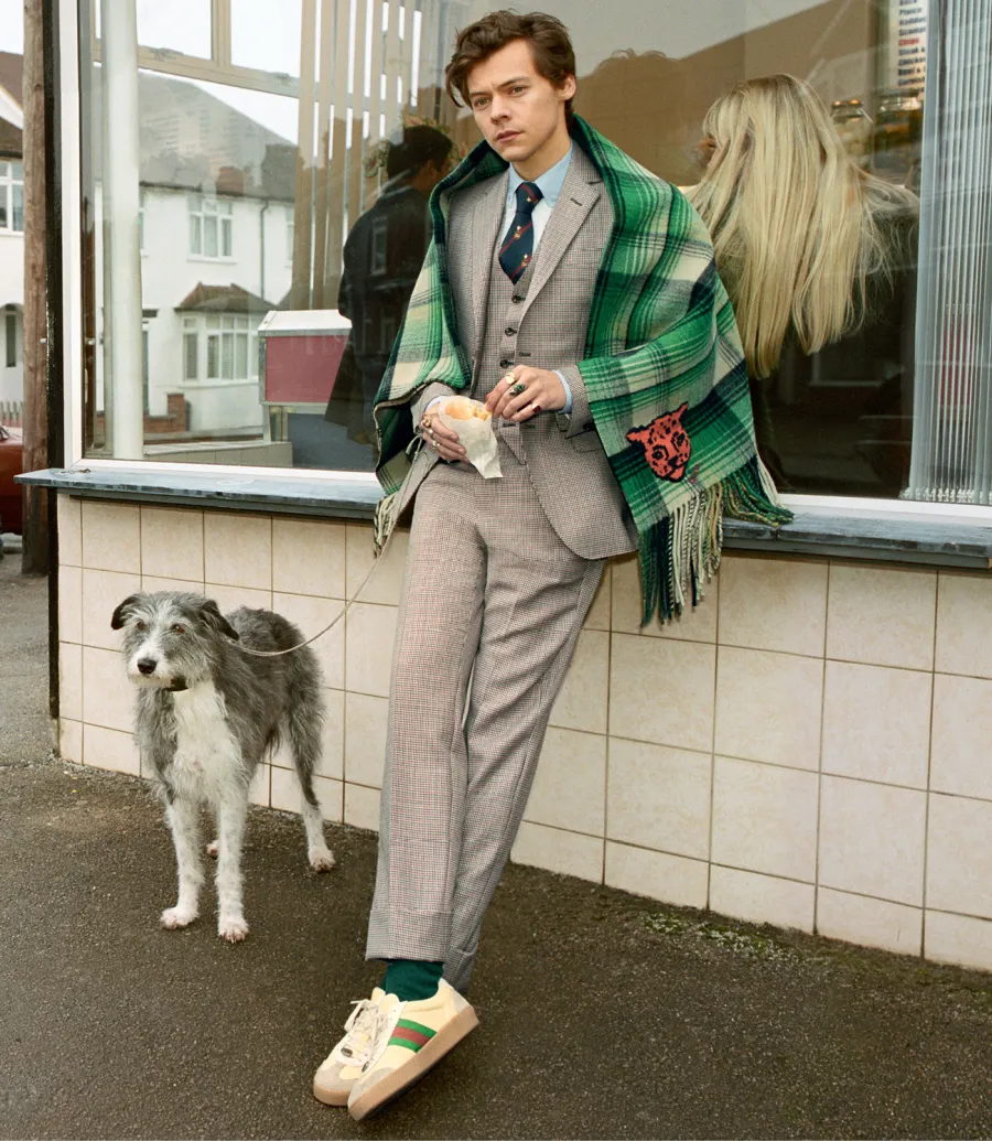 harry-styles-pets-gucci-campaign