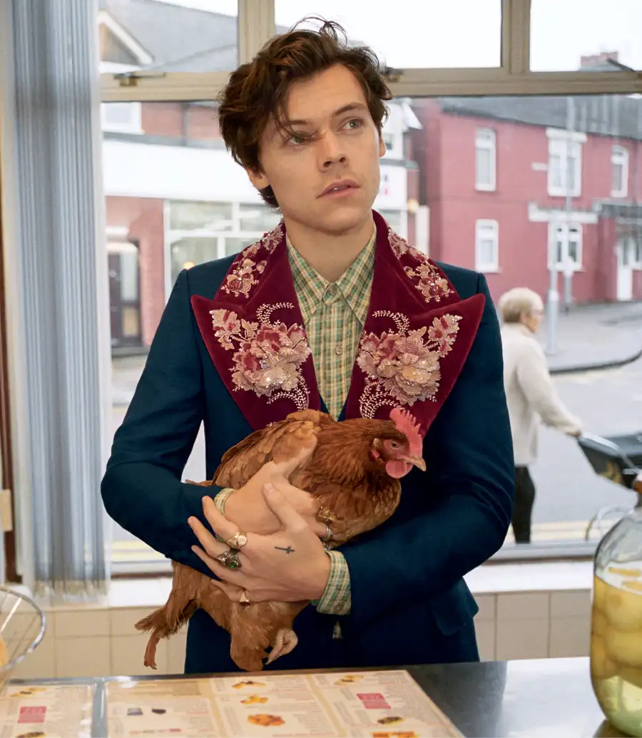 harry-styles-pets-gucci-campaign