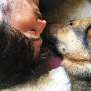 Ian Somerhalder dog dead