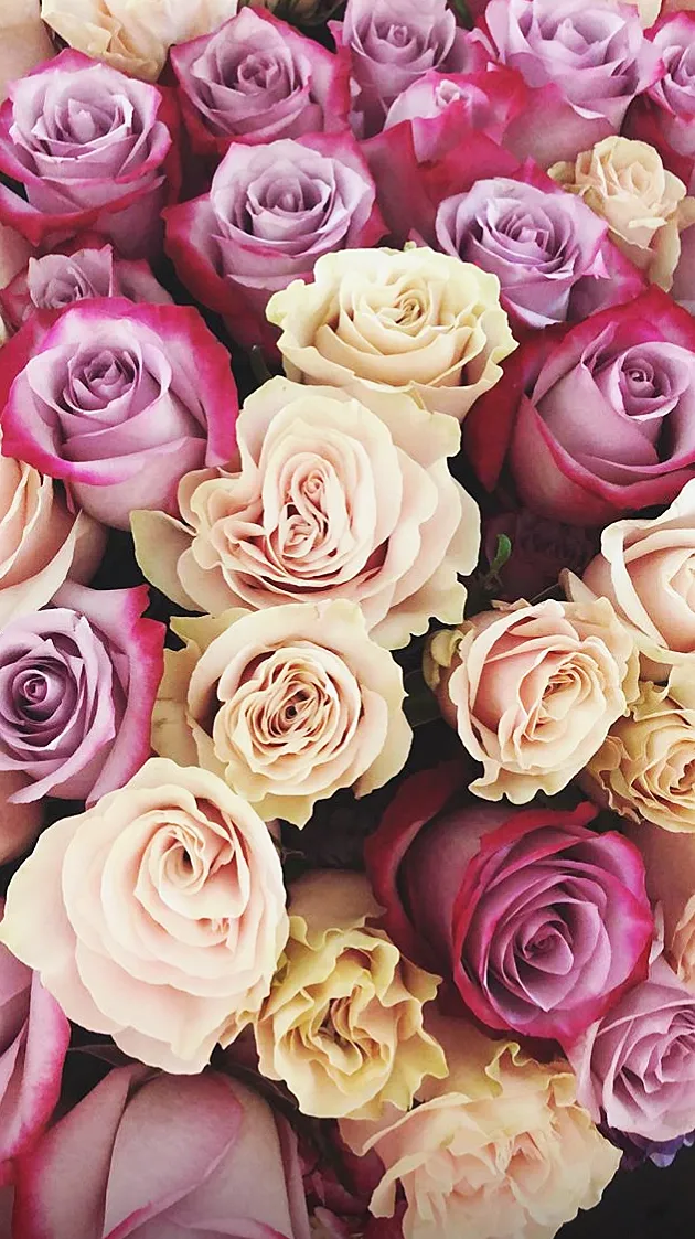 Khloe Kardashian Birthday Flowers