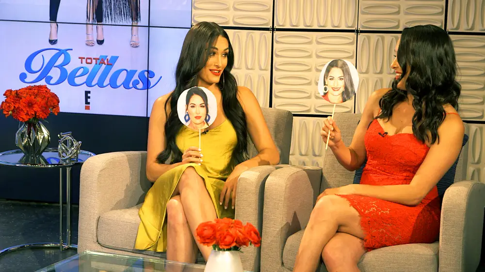 Nikki Bella and Brie Bella
