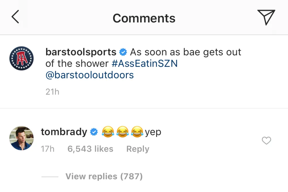 tom-brady-hippo-comment