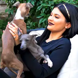 Kylie Jenner with her dogs Normie and Bambi in Los Angeles, California.