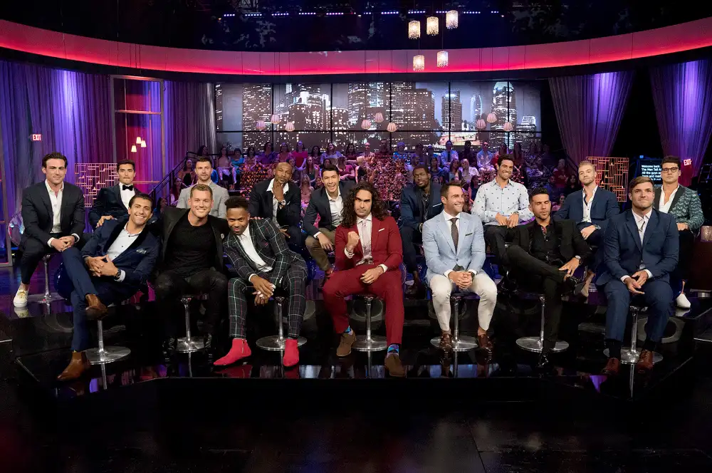 The men during The Bachelorette: The Men Tell All