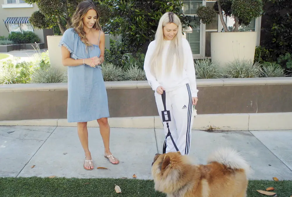 Corinne Olympios Just Like Us