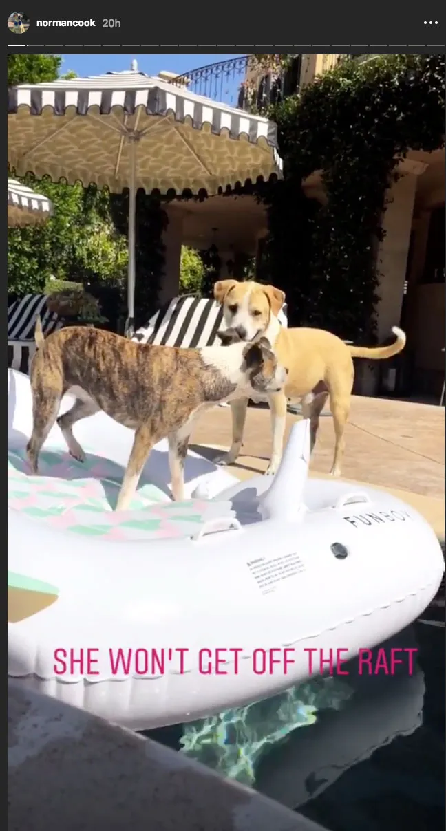 Kaley Cuoco dogs pool