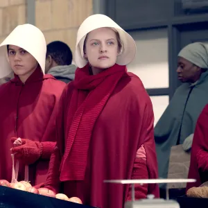 The Handmaid's Tale Wine