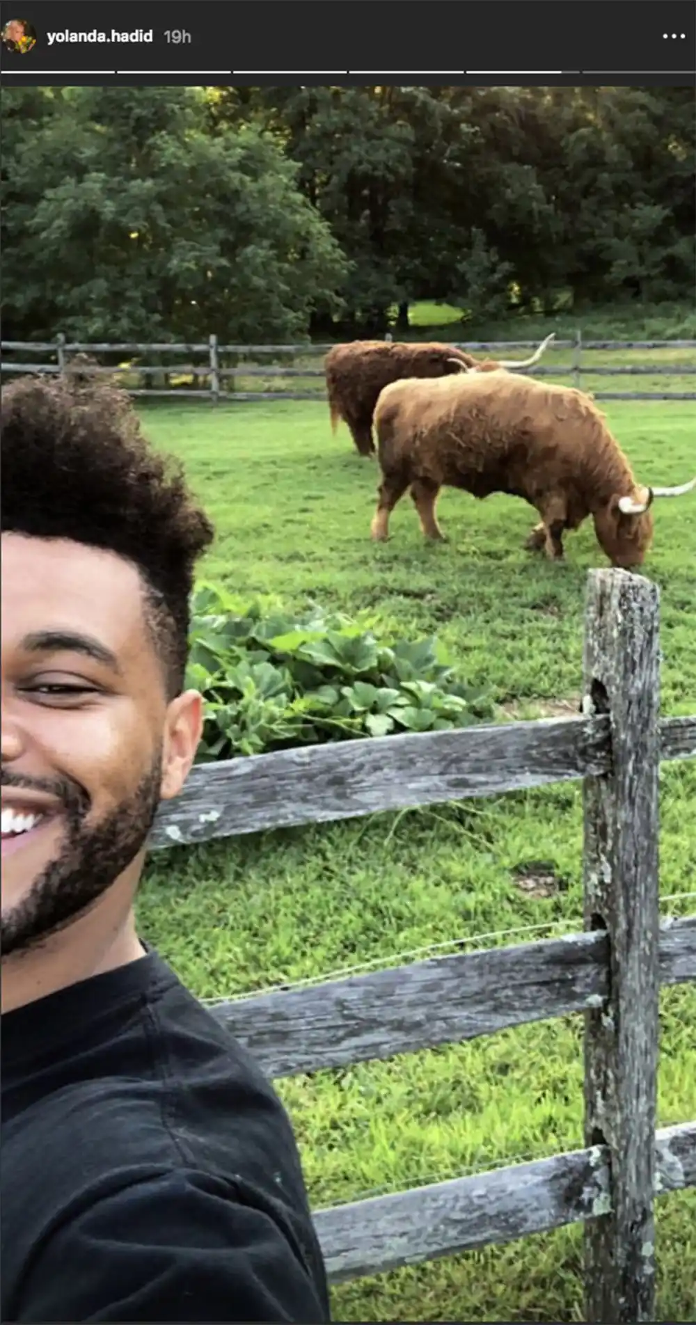 Bella hadid the weeknd yolanda hadid