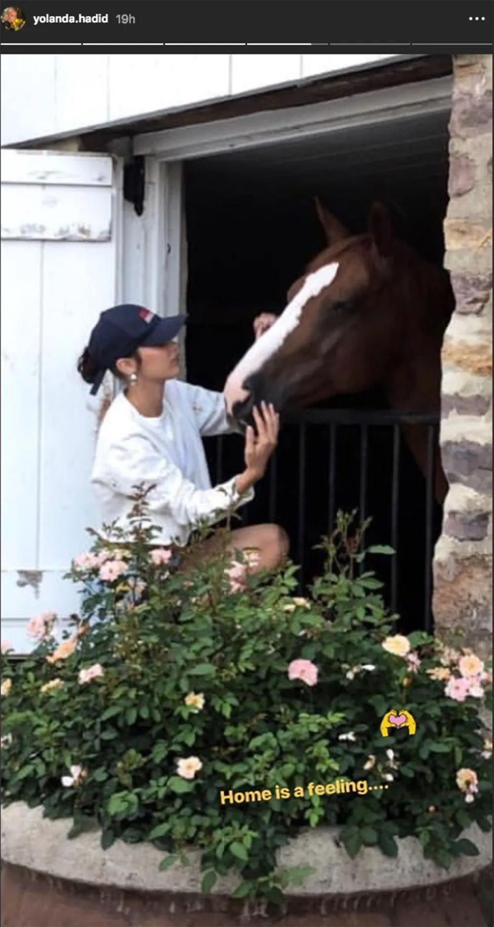 Bella hadid the weeknd yolanda hadid