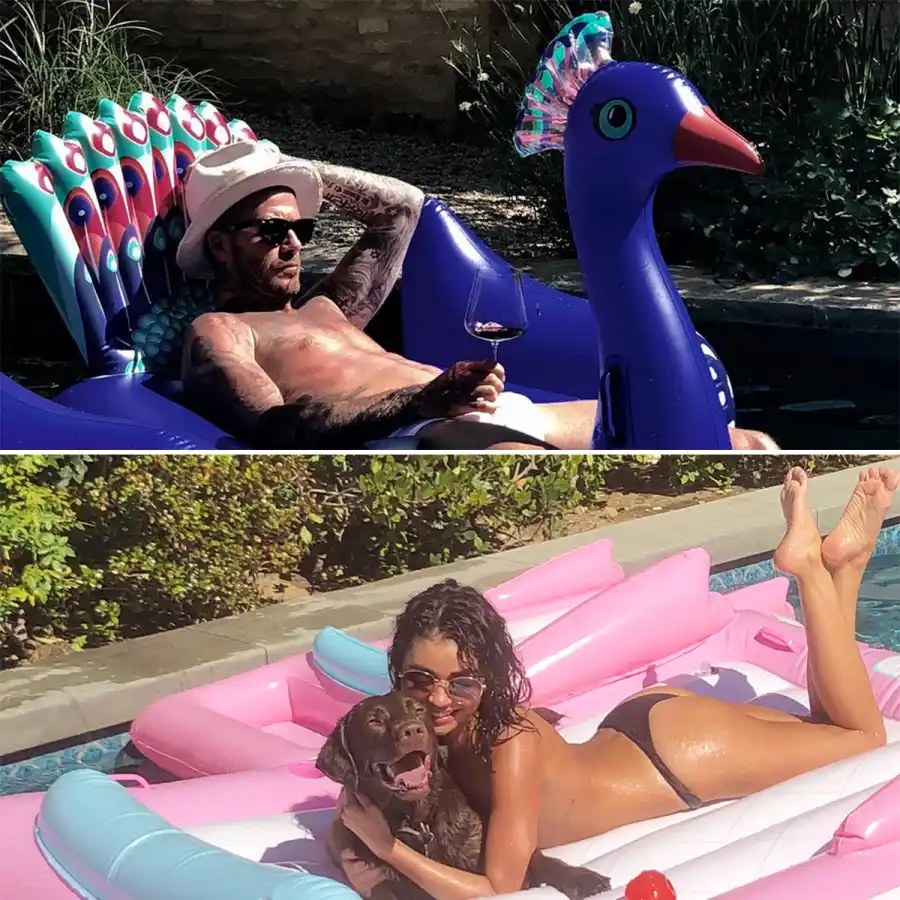 celebs-and-pool-floats