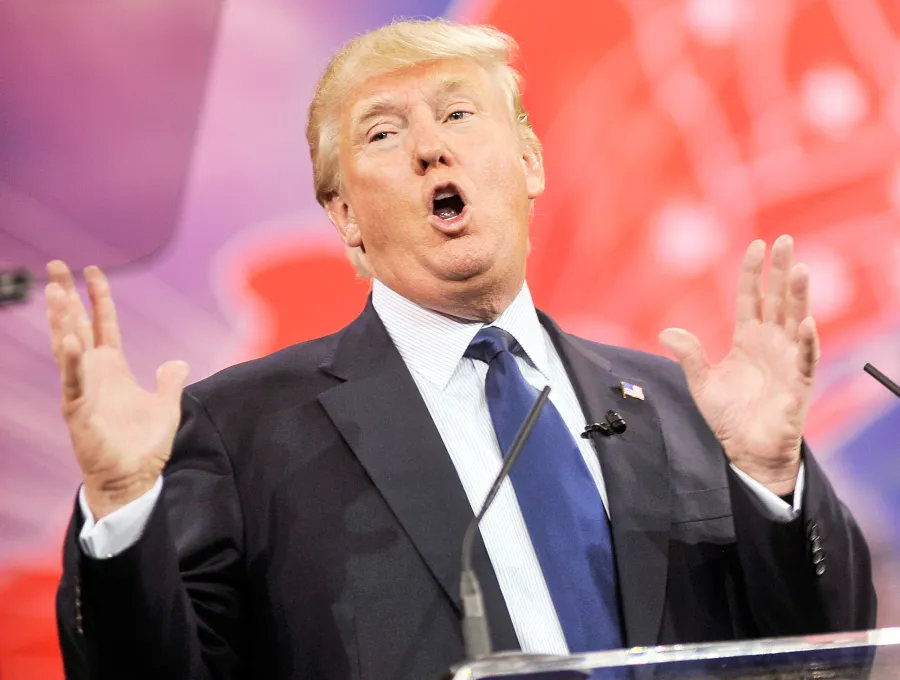 Merriam-Webster and Dictionary.com’s Best Disses Ever