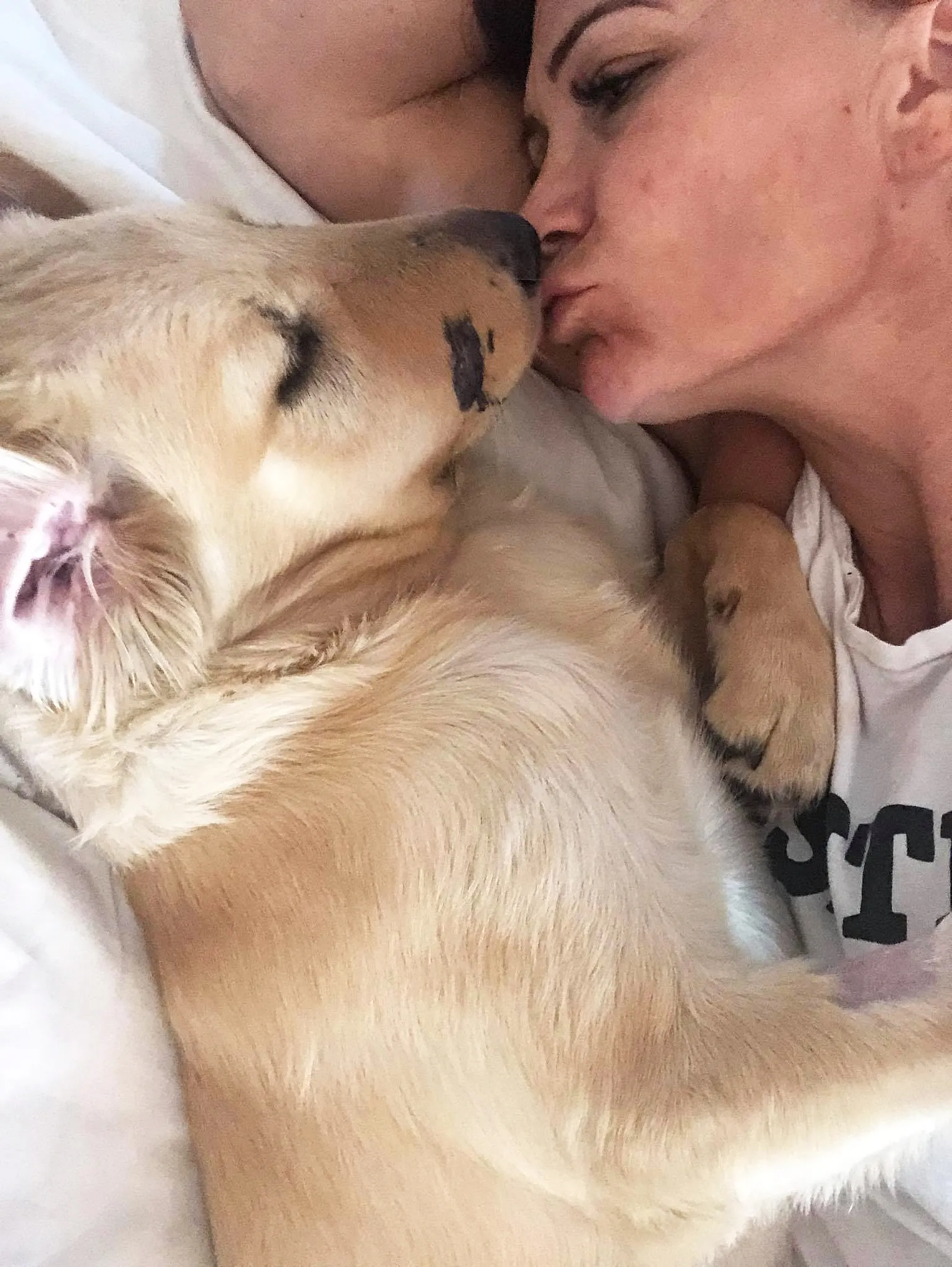 Paula Godwin Golden Retriever Rattlesnake Bite