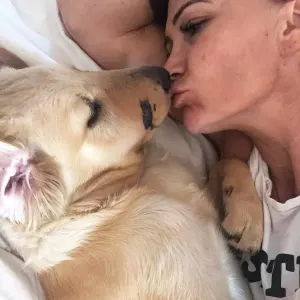 Paula Godwin Golden Retriever Rattlesnake Bite