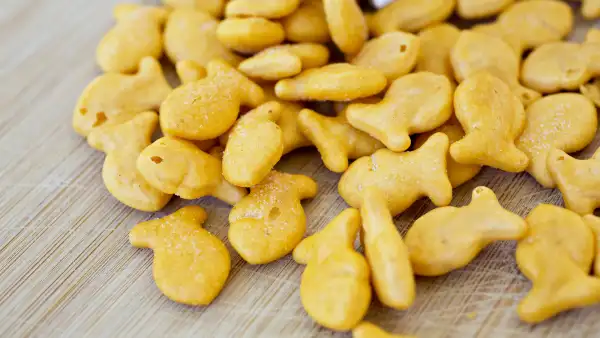 Goldfish Crackers recall