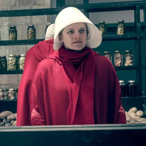 handmaids-tale-wine