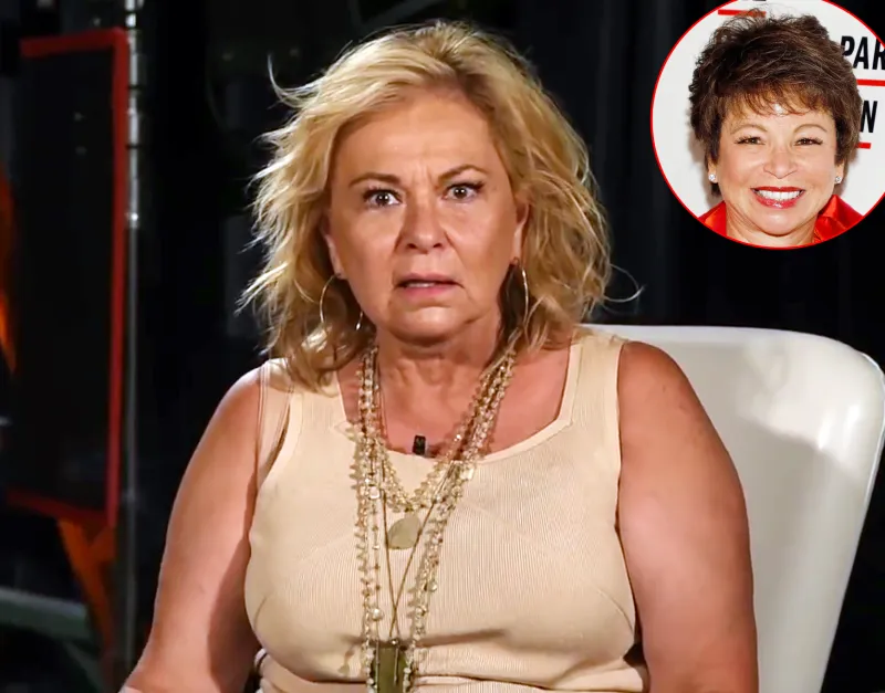 Roseanne Barr Explains Valerie Jarrett Tweet