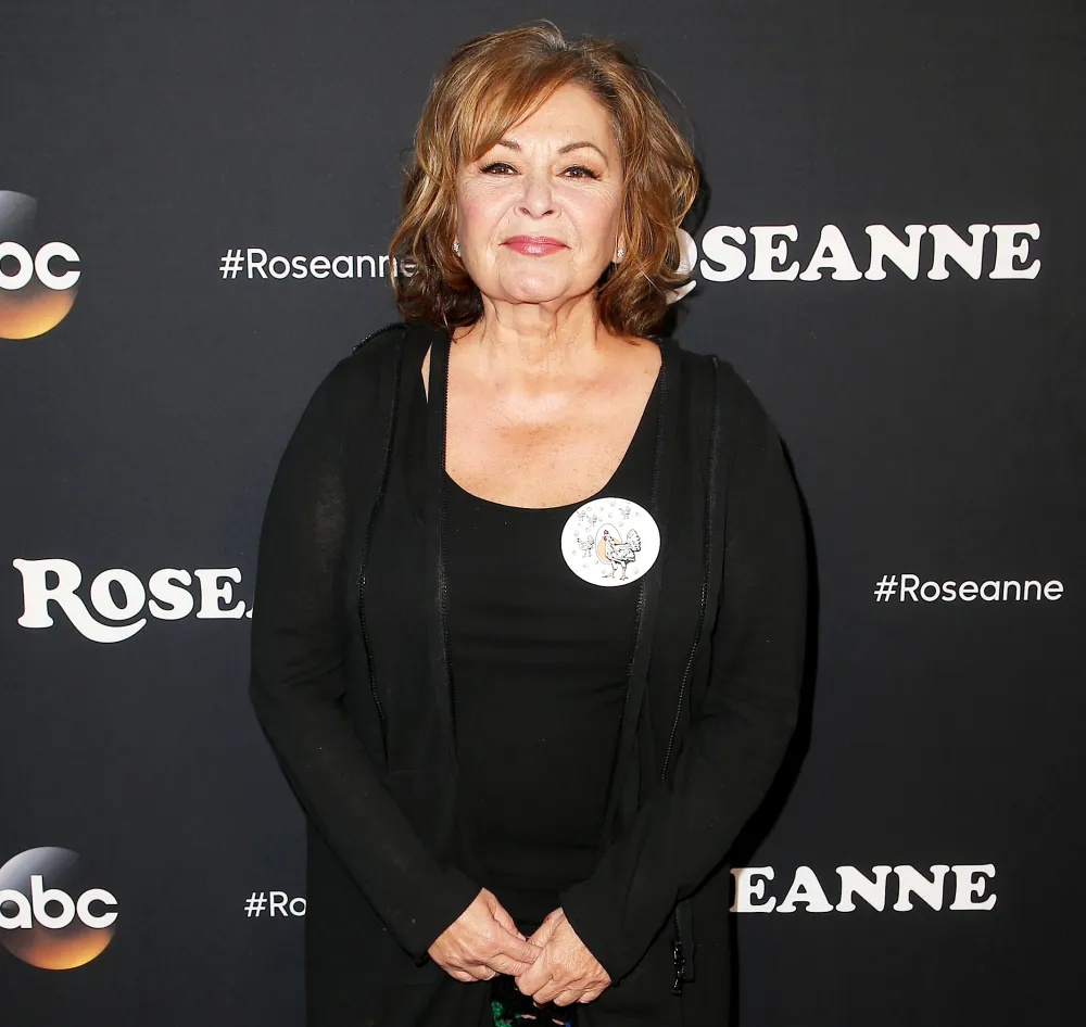 Roseanne Returning to TV