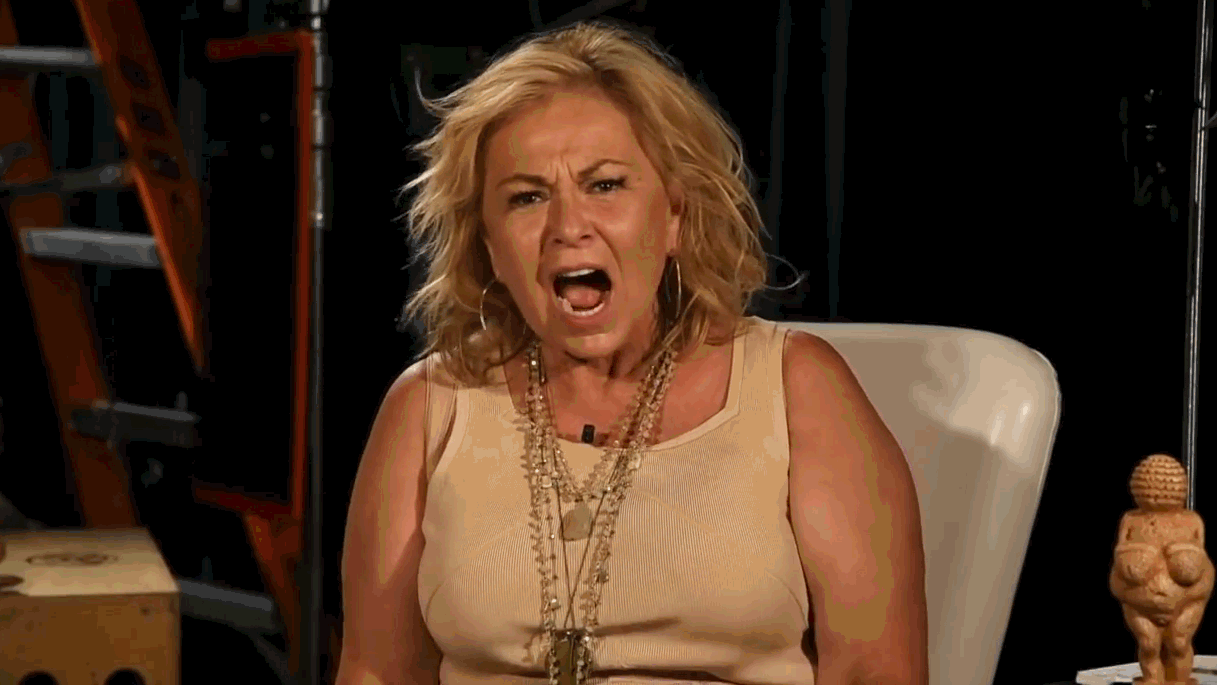 Roseanne Barr Explains Valerie Jarrett Tweet