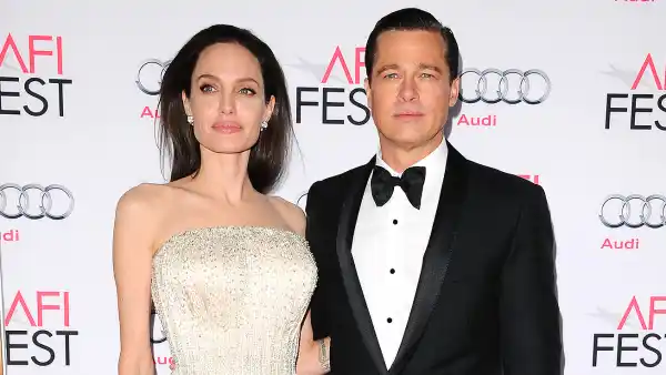 Angelina Jolie, Brad Pitt, Custody