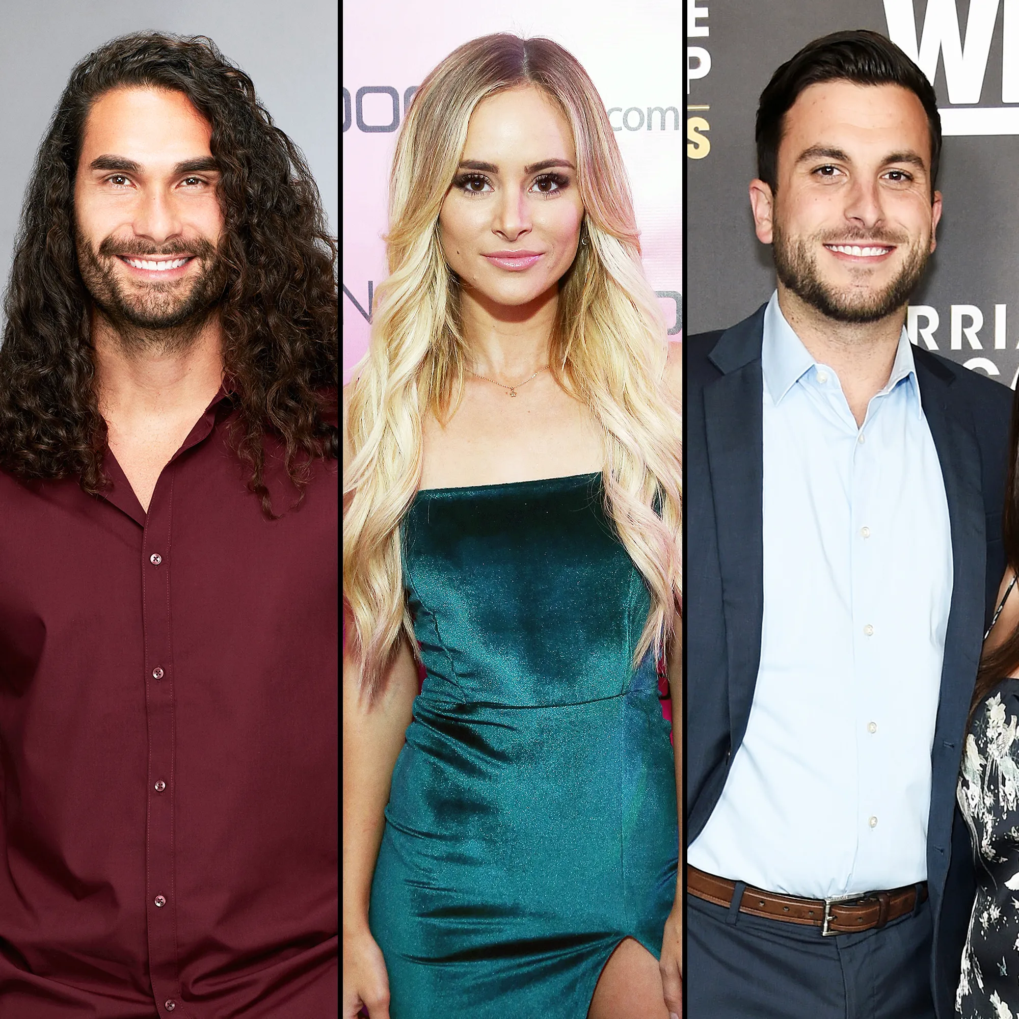 Leo Dottavio Attacks Amanda Stanton Tanner Tolbert Twitter