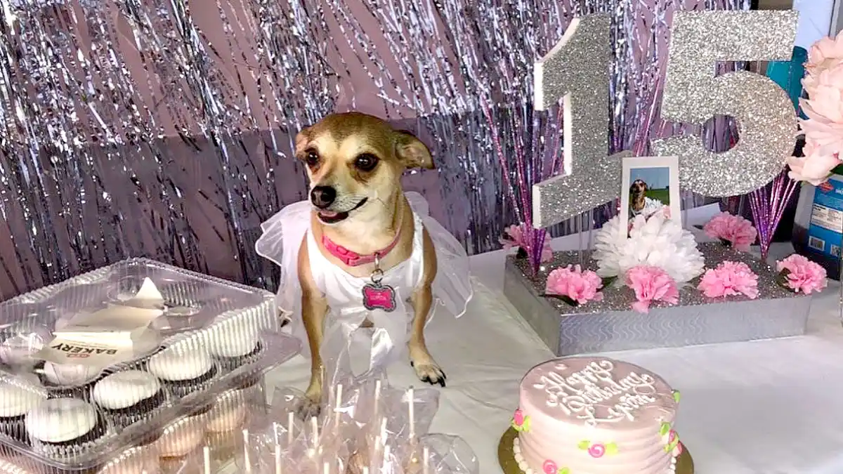 Lupita-Conchita-quinceanera