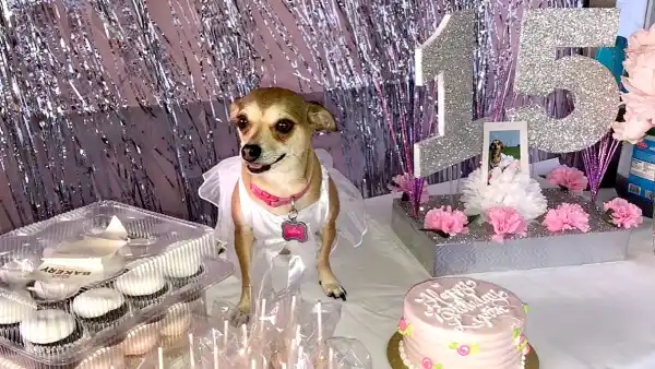 Lupita-Conchita-quinceanera