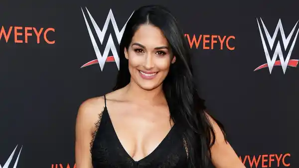 nikki bella john cena baby 40s