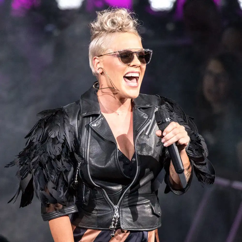 P!nk at the 2017 Summerfest Music Festival.