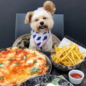 Popeye the Foodie Dog