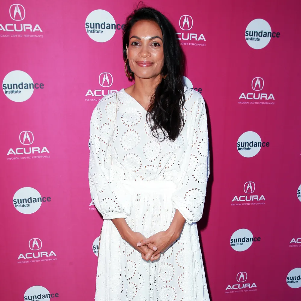 Rosario Dawson attends the Sundance Institute at Sundown Summer Benefit.