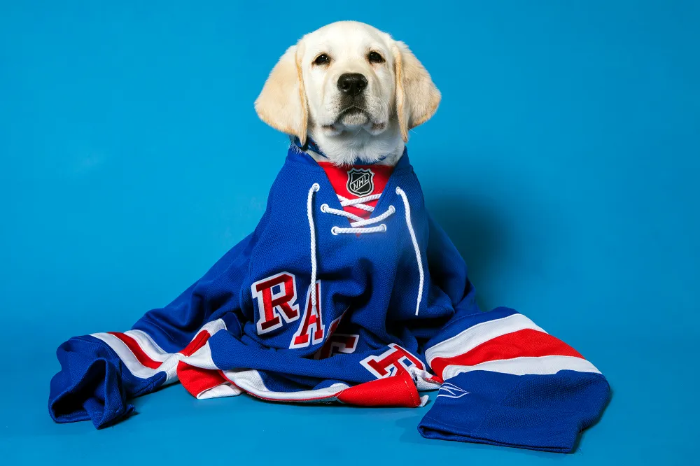 Autism Service Dog New York Rangers
