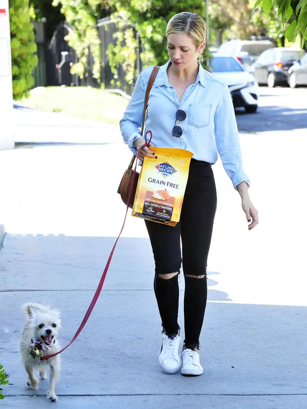 Brittany Snow Nature&rsquo;s Recipe premium dog food