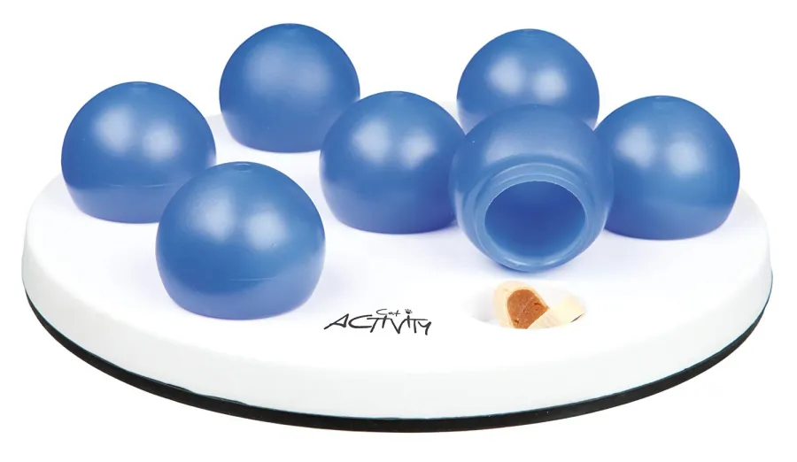 pet summer essentials