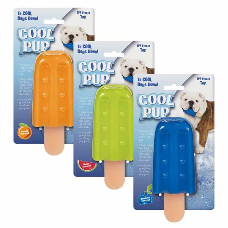 pet summer essentials