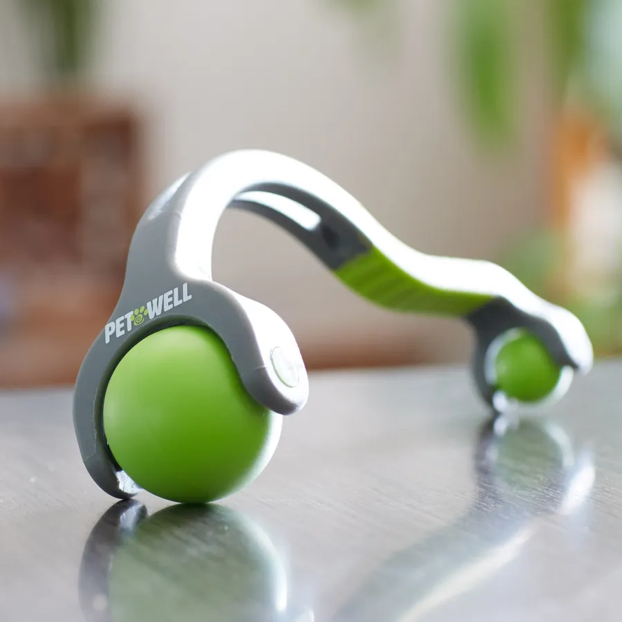 pet summer essentials