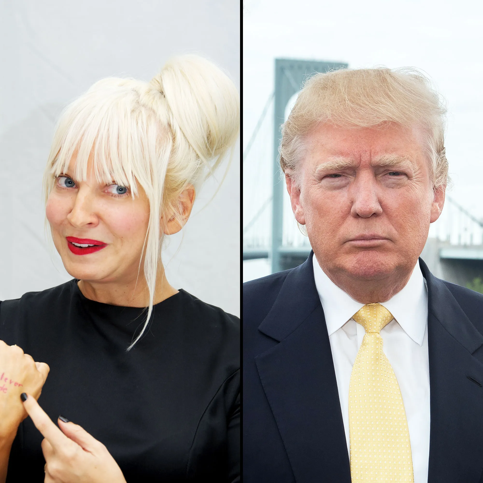 Sia and Donald Trump