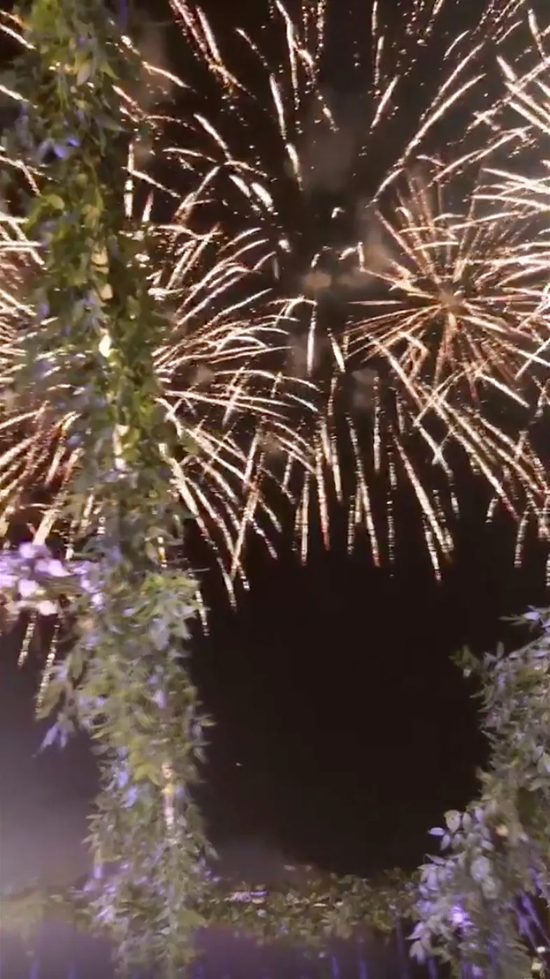 Chiara Ferragni, Fedez, Married, Wedding, Fireworks