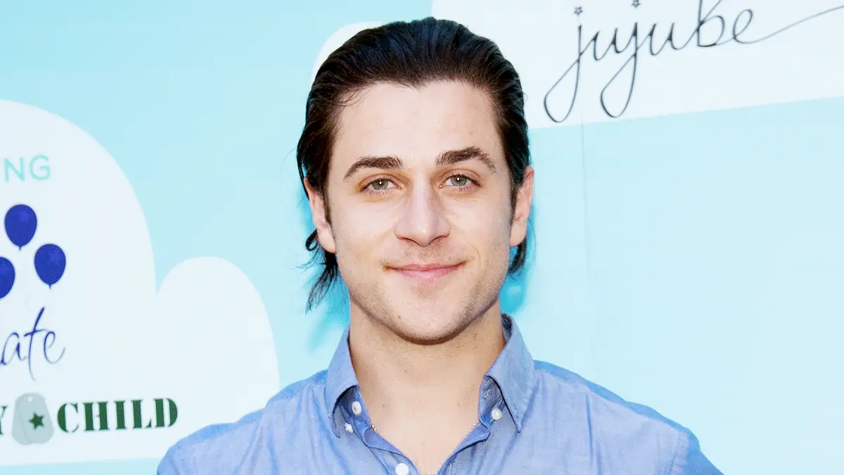 David-Henrie-arrested