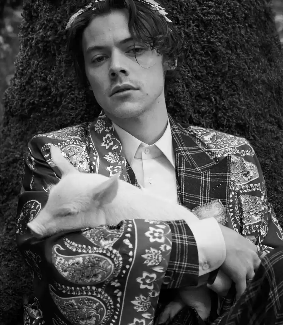 Harry Styles for Gucci