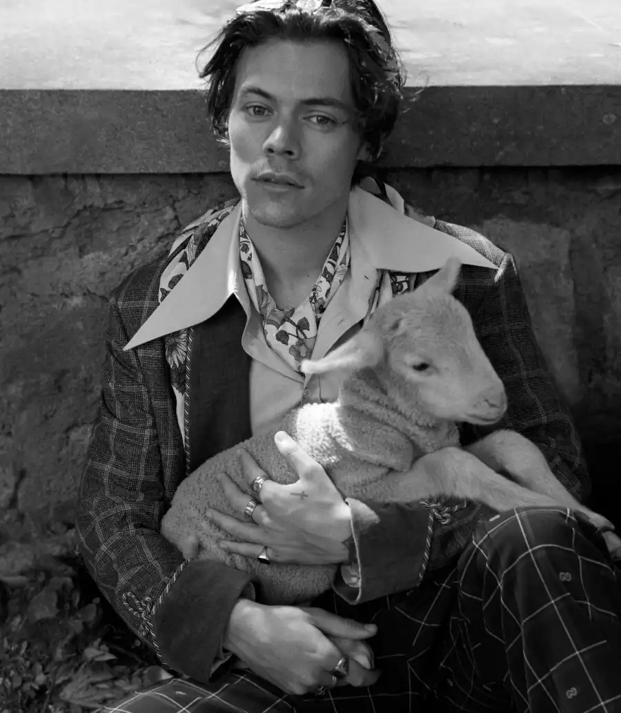 Harry Styles for Gucci