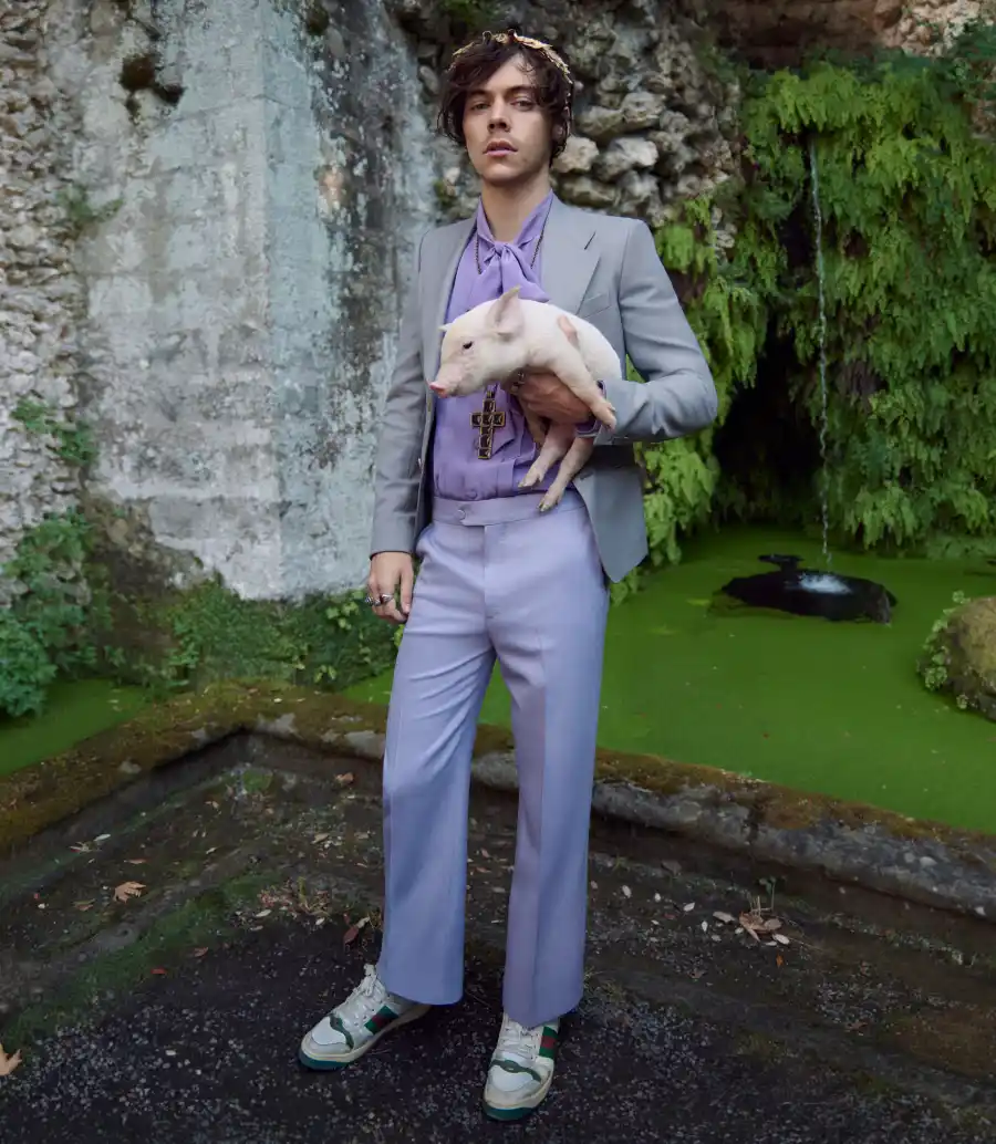 Harry Styles for Gucci