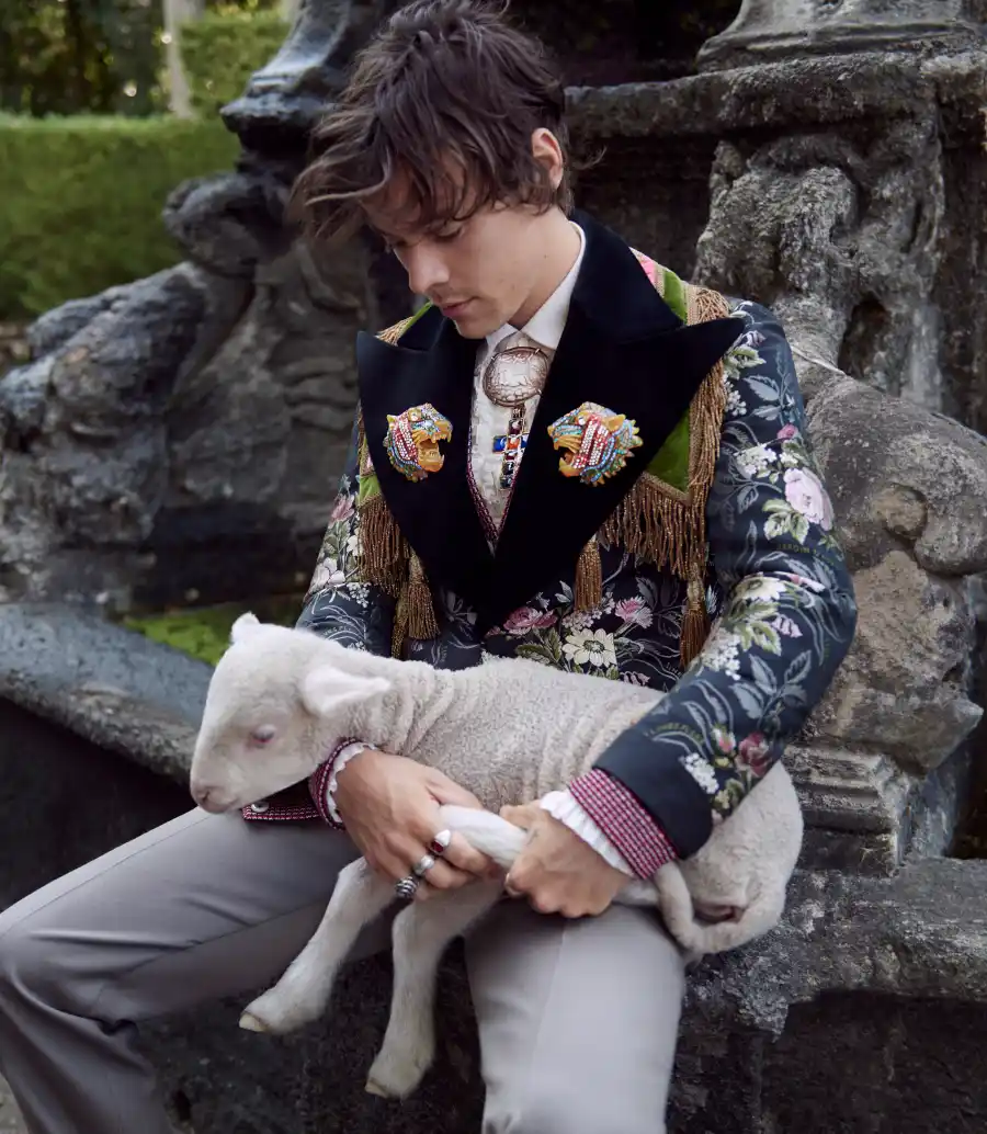 Harry Styles for Gucci